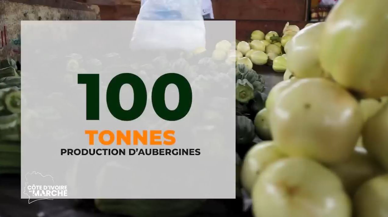 Purga_1_Purga_2_2023_28