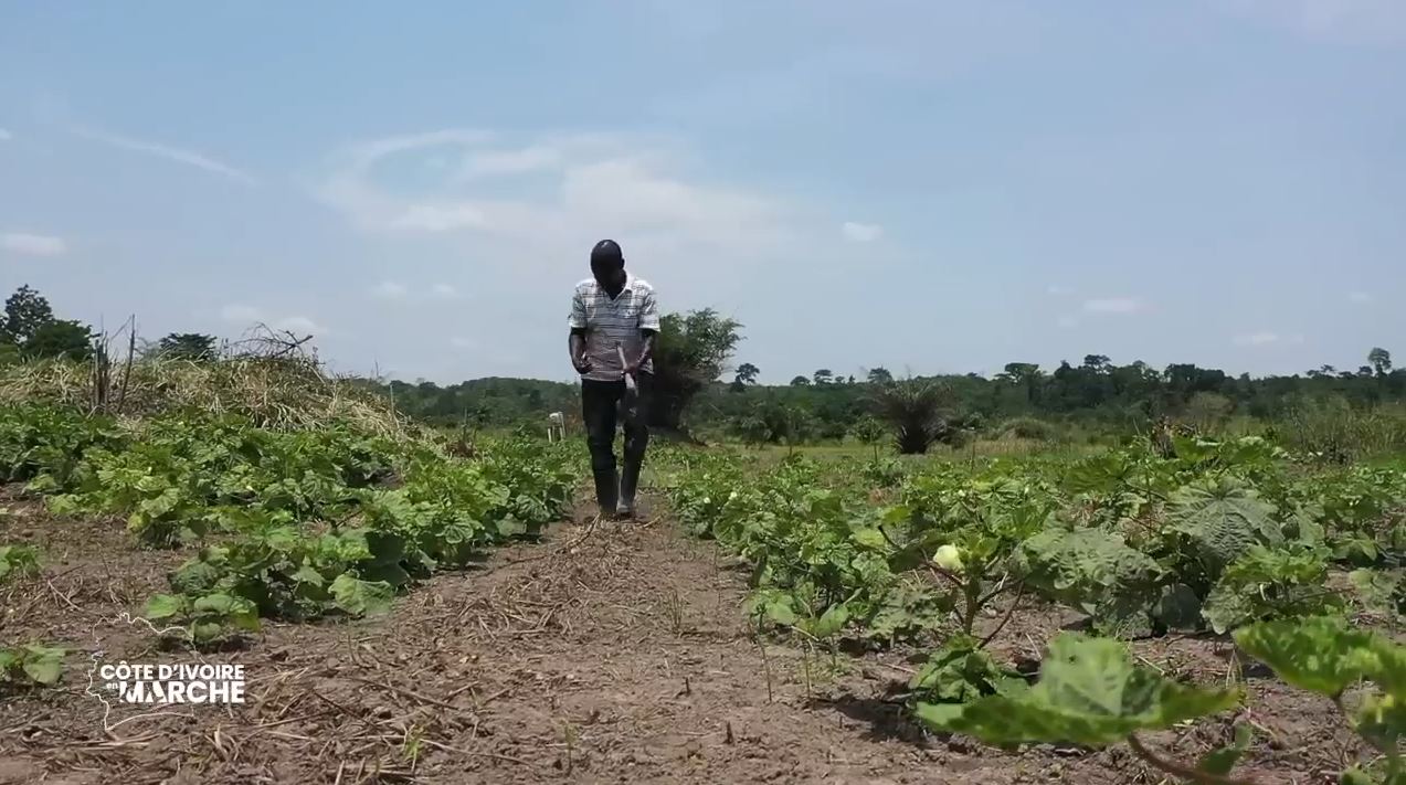 Purga_1_Purga_2_2023_33