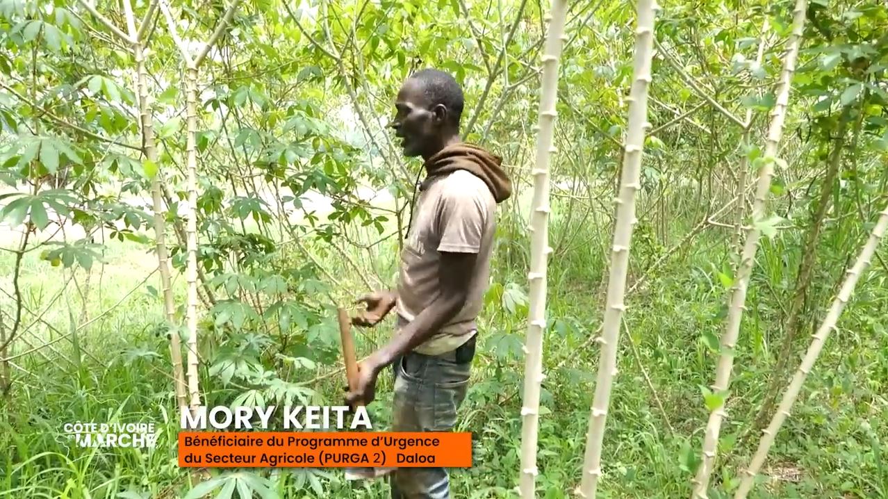 Purga_1_Purga_2_2023_34