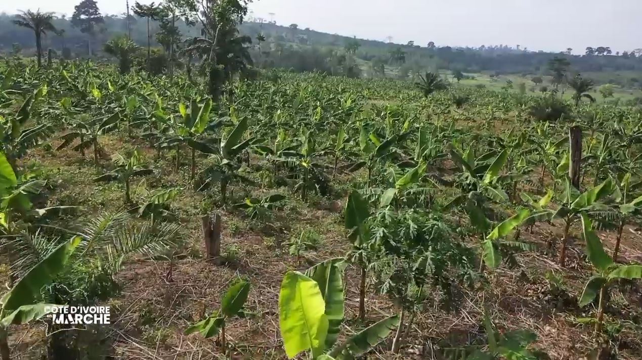 Purga_1_Purga_2_2023_35