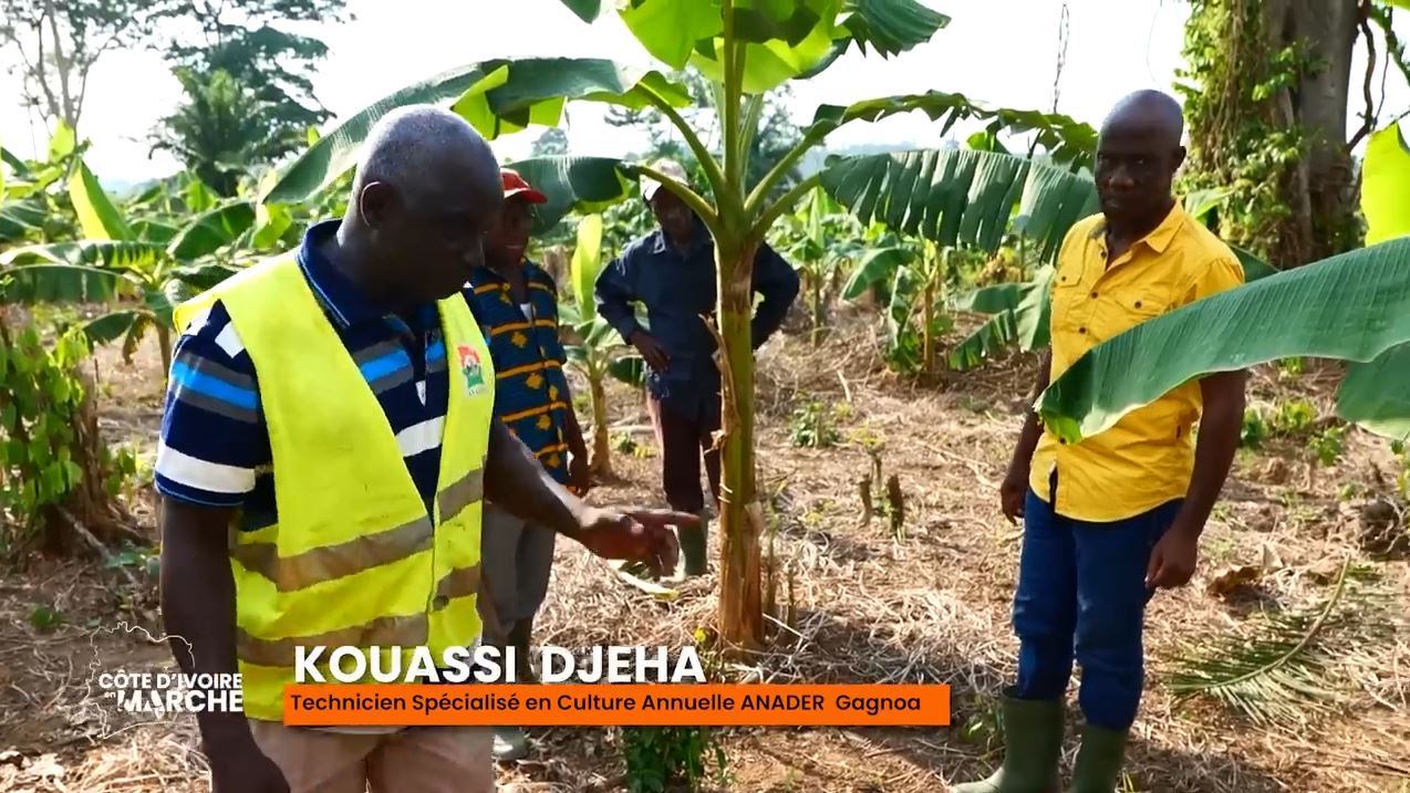 Purga_1_Purga_2_2023_36