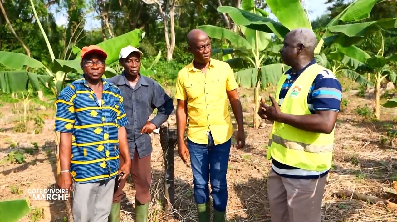 Purga_1_Purga_2_2023_37