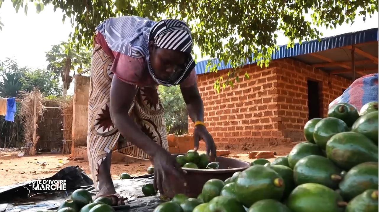 Purga_1_Purga_2_2023_41