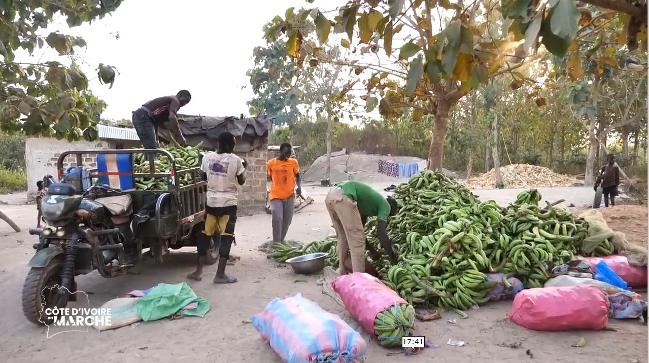 Purga_1_Purga_2_2023_42