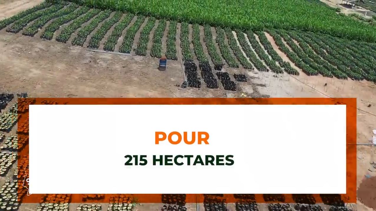 Purga_1_Purga_2_2023_49