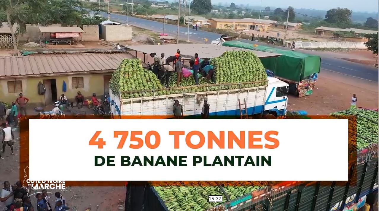 Purga_1_Purga_2_2023_50