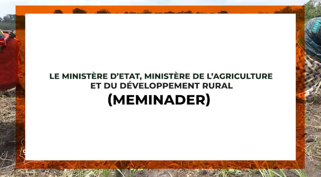 Purga_1_Purga_2_2023_7