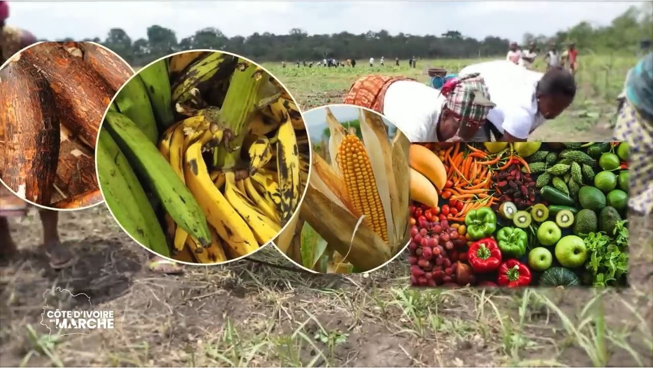 Purga_1_Purga_2_2023_8