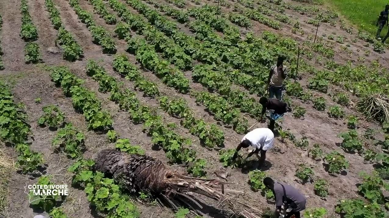 Purga_1_Purga_2_2023_9