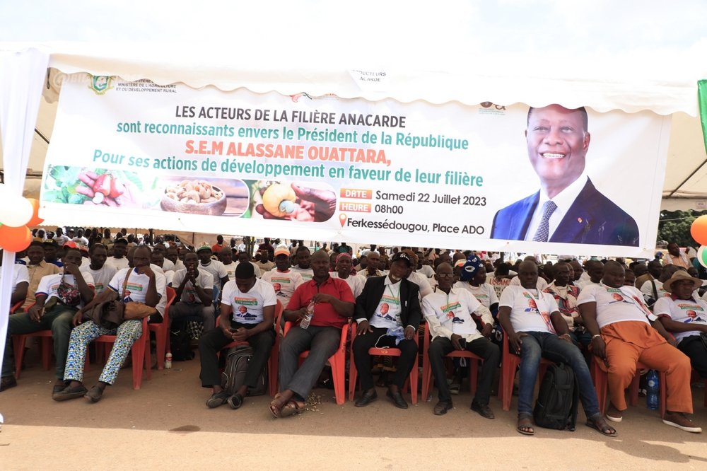 Économie – Ferkessédougou : plusieurs milliers d’acteurs des filières coton et anacarde rendent hommage au président Alassane Ouattara.
