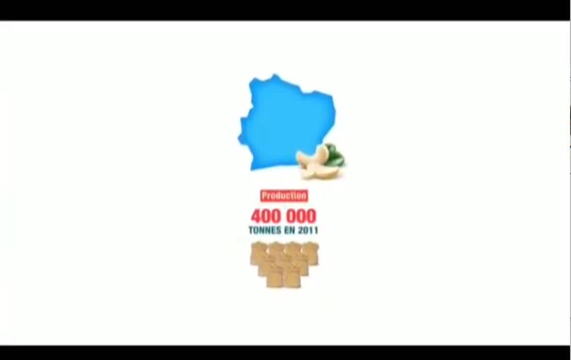 Agro_Anacarde_Korhogo_24092023_10