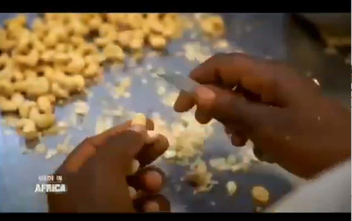 Agro_Anacarde_Korhogo_24092023_28