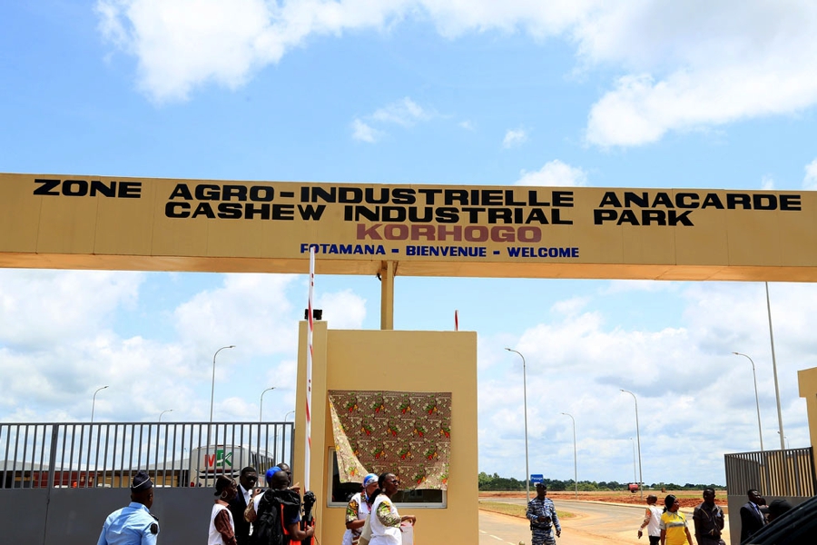 filiere-anacarde-ceremonie-d-inauguration-de-la-zone-agro-industrielle-dedi_2dbyya6sch