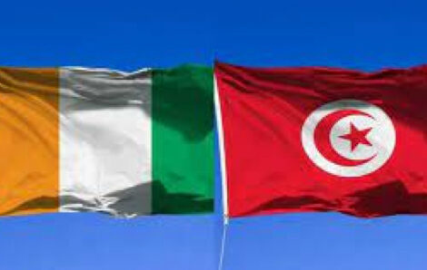 Migration clandestine : La Côte-d’Ivoire rétablit le visa avec la Tunisie.