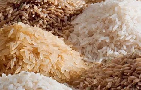 Côte d’Ivoire-AIP/ L’exportation du riz local et du sucre suspendue jusqu’au 31 décembre.