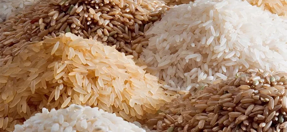 Côte d’Ivoire-AIP/ L’exportation du riz local et du sucre suspendue jusqu’au 31 décembre.