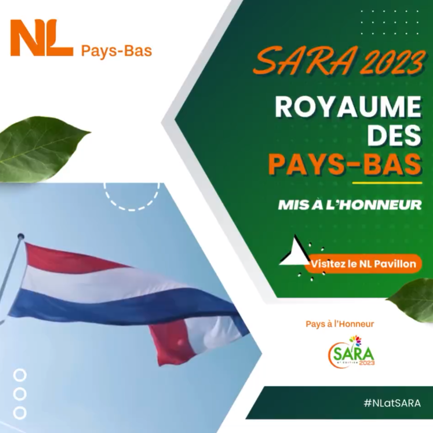 Économie – Agriculture: Comment les Pays-Bas veulent contribuer à une économie durable.