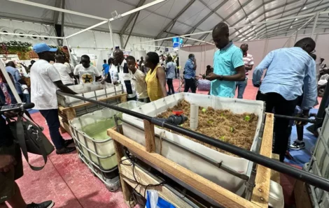 La FAO encourage l’aquaponie en Côte d’Ivoire.