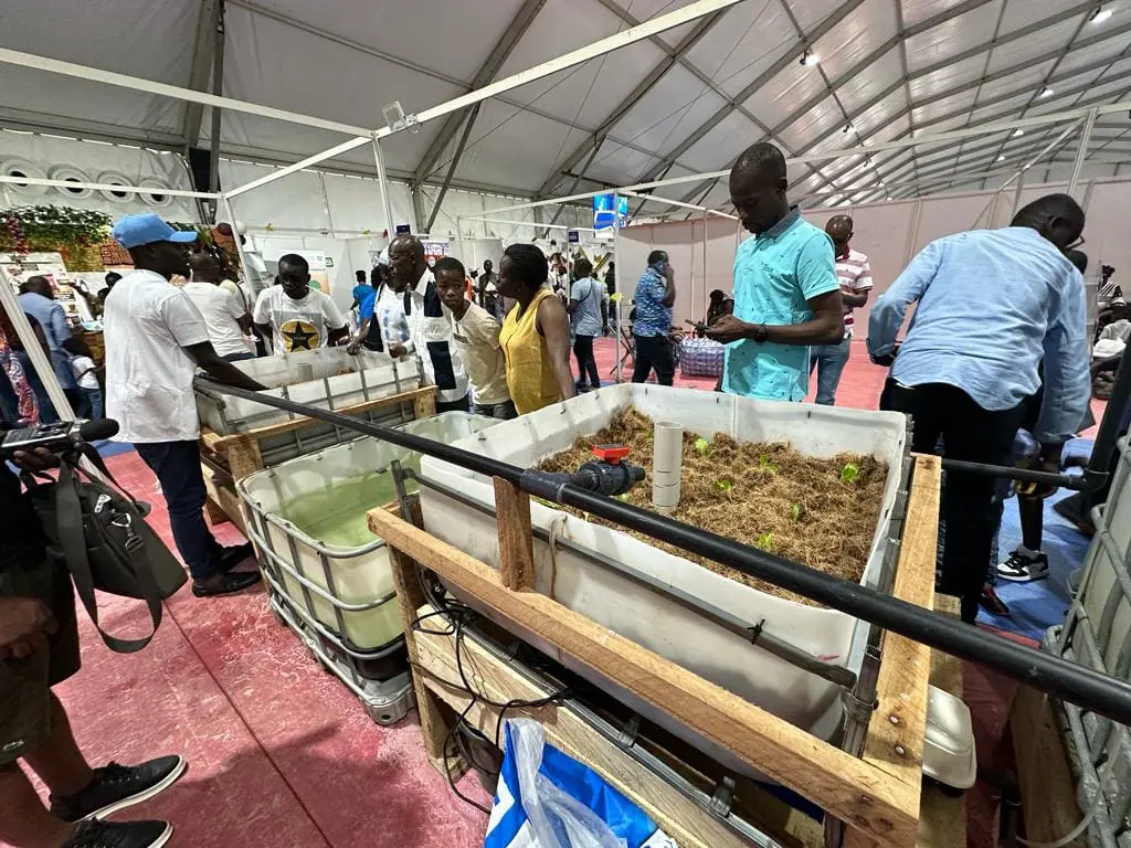 La FAO encourage l’aquaponie en Côte d’Ivoire.