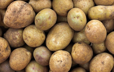 Microéconomie – Pomme de terre, grains d’arachides, Gnangnan …:les prix sur les marchés de Williamsville, Cocody et Yopougon.