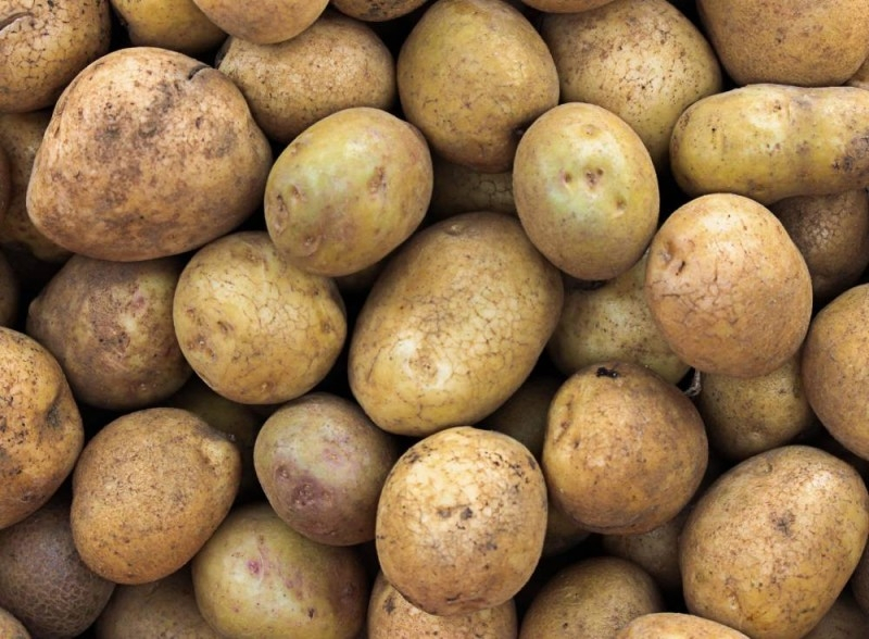 Microéconomie – Pomme de terre, grains d’arachides, Gnangnan …:les prix sur les marchés de Williamsville, Cocody et Yopougon.