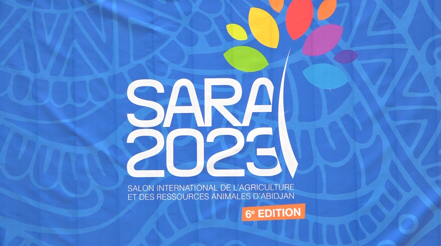 Voituriens_Parc_Expo_SARA_2023_5