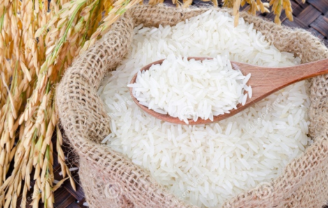 Riz : Ces champions locaux prêts à accompagner la Côte d’Ivoire.