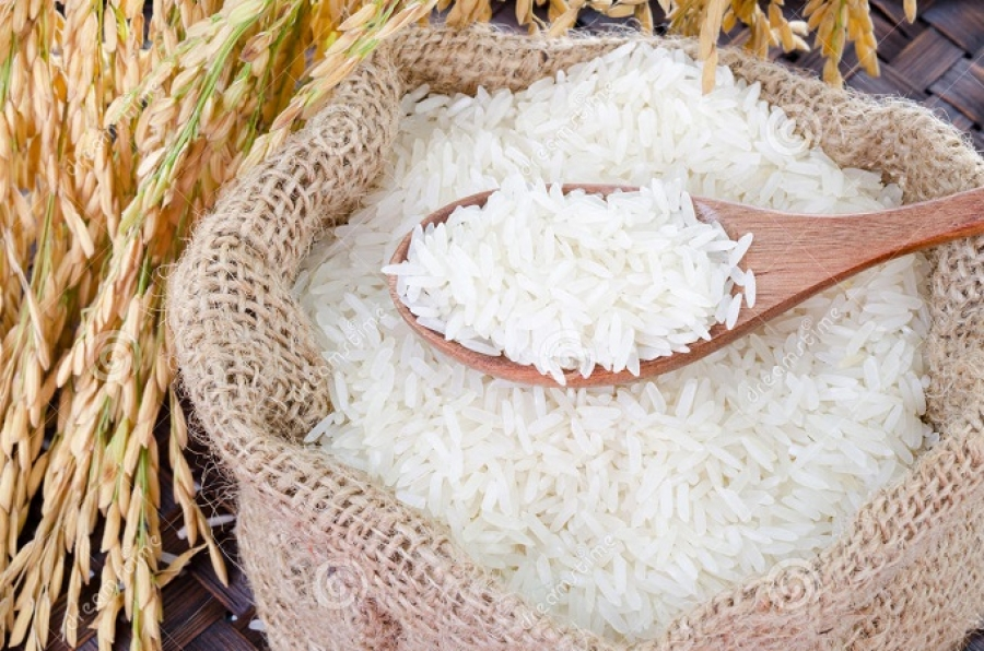 Riz : Ces champions locaux prêts à accompagner la Côte d’Ivoire.