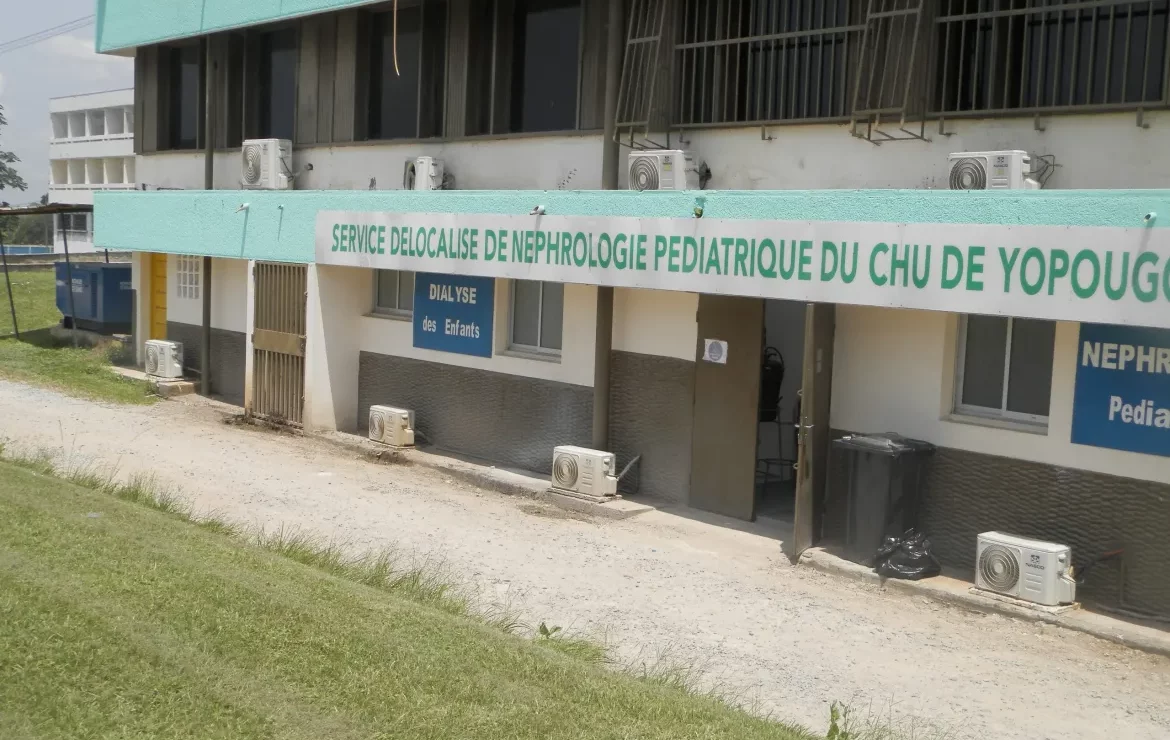 Problèmes de reins : Les Ivoiriens, de plus en plus touchés.