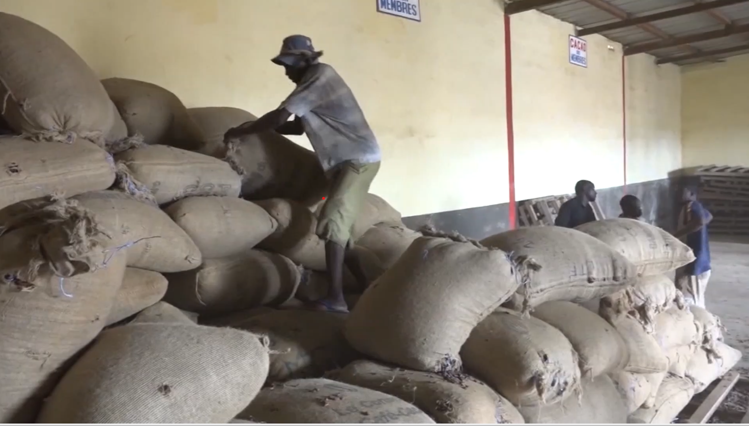 Meilleure_retribution_Cacaoculture_CIV_UE_112023_3