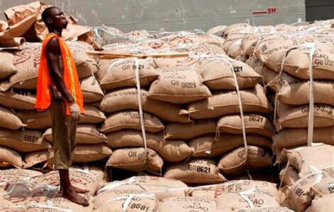 Economie – Cacoculture : la plate-forme africaine pour le cacao durable interpelle l’UE pour une meilleure rémunération des producteurs.