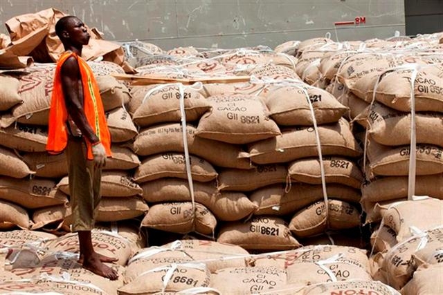 Economie – Cacoculture : la plate-forme africaine pour le cacao durable interpelle l’UE pour une meilleure rémunération des producteurs.