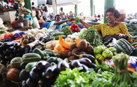 Société – Sécurité alimentaire : Le gouvernement ivoirien engagé à exploiter les énormes potentialités du pays.