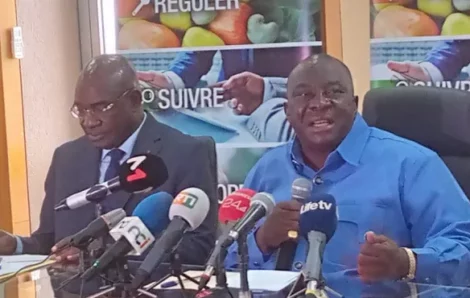 Côte d’Ivoire/ le prix du cajou fixé à 275 FCFA : Voici principales raisons de la baisse du prix selon le ministre Kobenan Adjoumani.