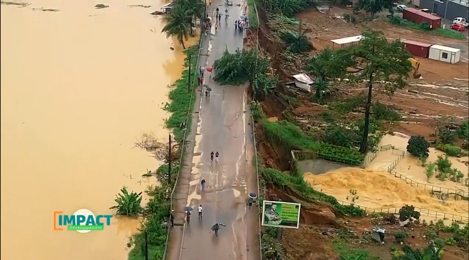 Bassin_Gourou Abidjan_2024_21