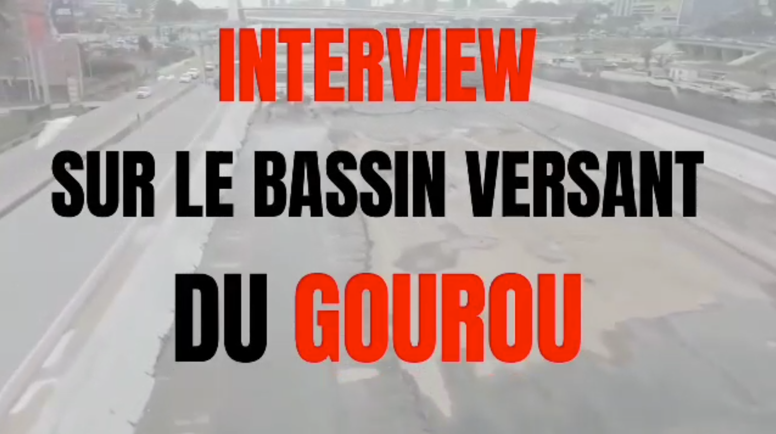 Bassin_Gourou Abidjan_2024_40