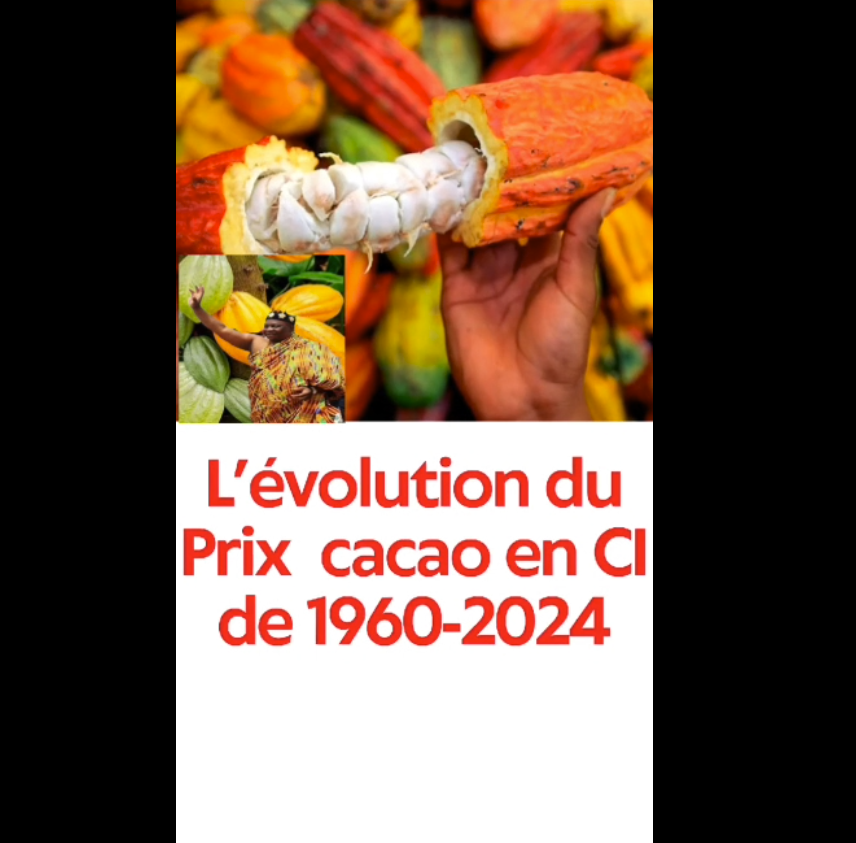 Prix_Cacao_1960_2024
