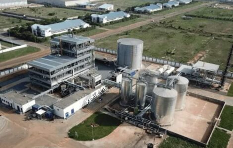 Sokarci, première usine de transformation du karité en beurre en Côte d’ivoire.