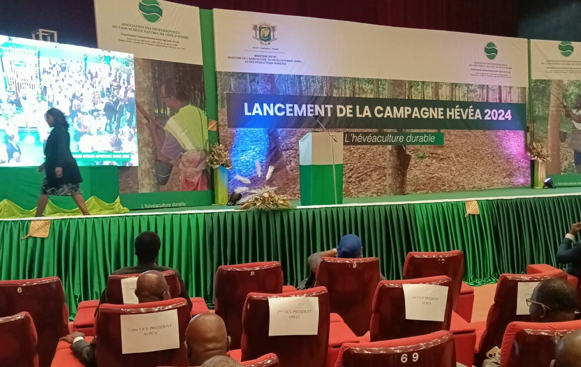 Economie – Filière hévéa : La Côte d’Ivoire renforce sa position en Afrique.