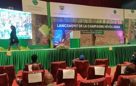 Economie – Filière hévéa : La Côte d’Ivoire renforce sa position en Afrique.