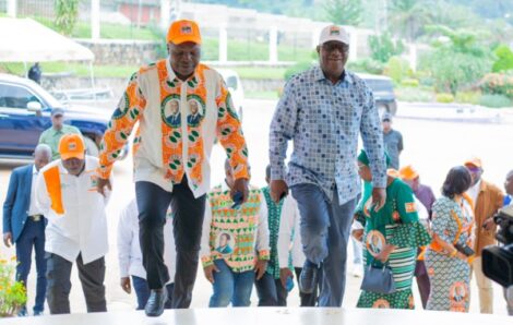 Tonkpi / Installation de la coordination RHDP : Les instructions de Téné Birahima Ouattara aux cadres du parti
