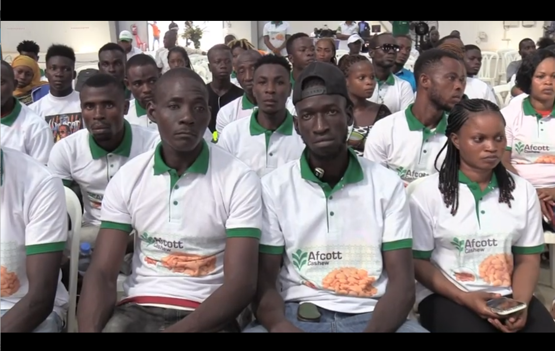 Cajou_Adjoumani_Yakro_14