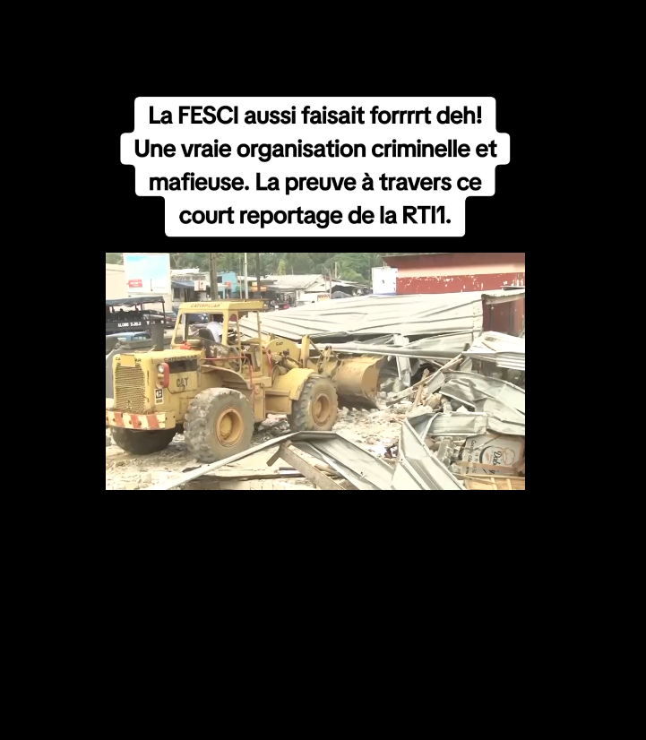 Mafia_FESCI_10_2024_1