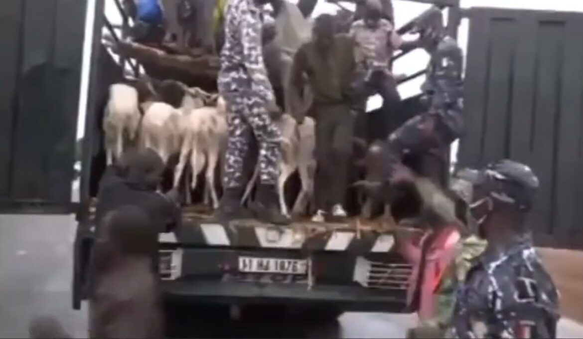Camion_Betails_Transporte_Burkinabe_2025_5