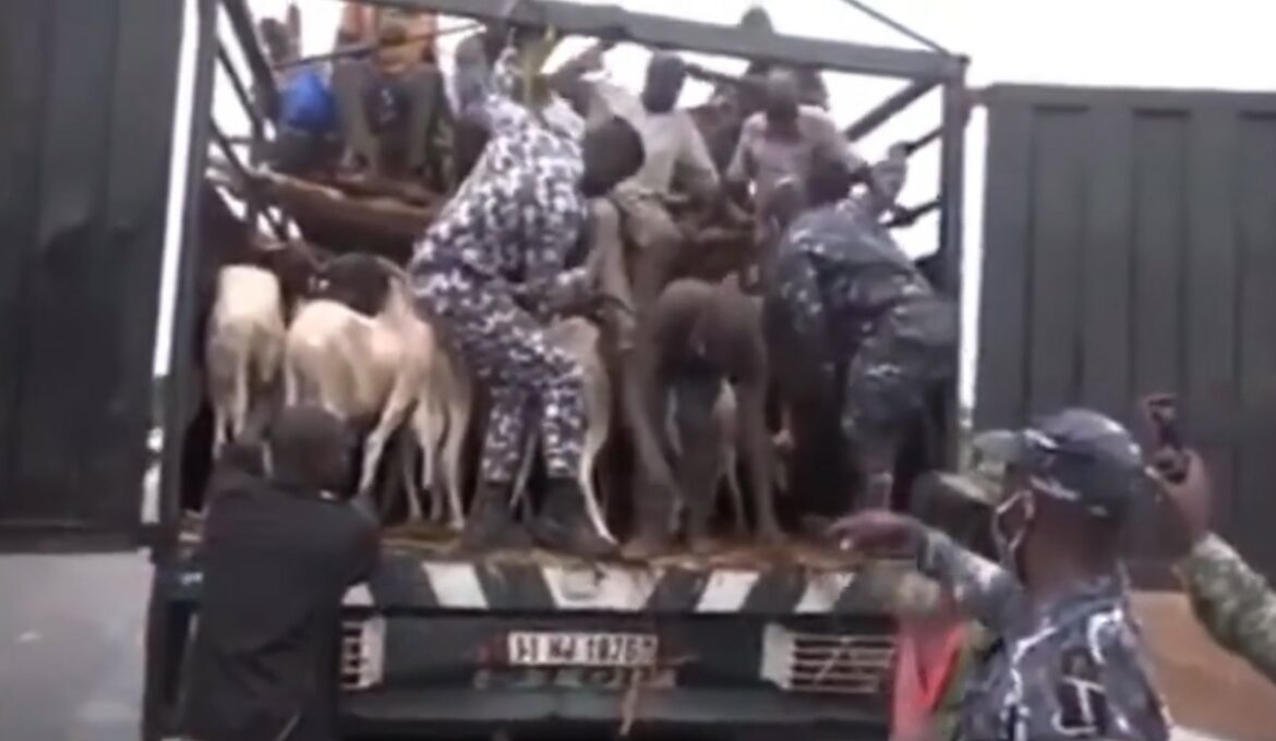 Camion_Betails_Transporte_Burkinabe_2025_7