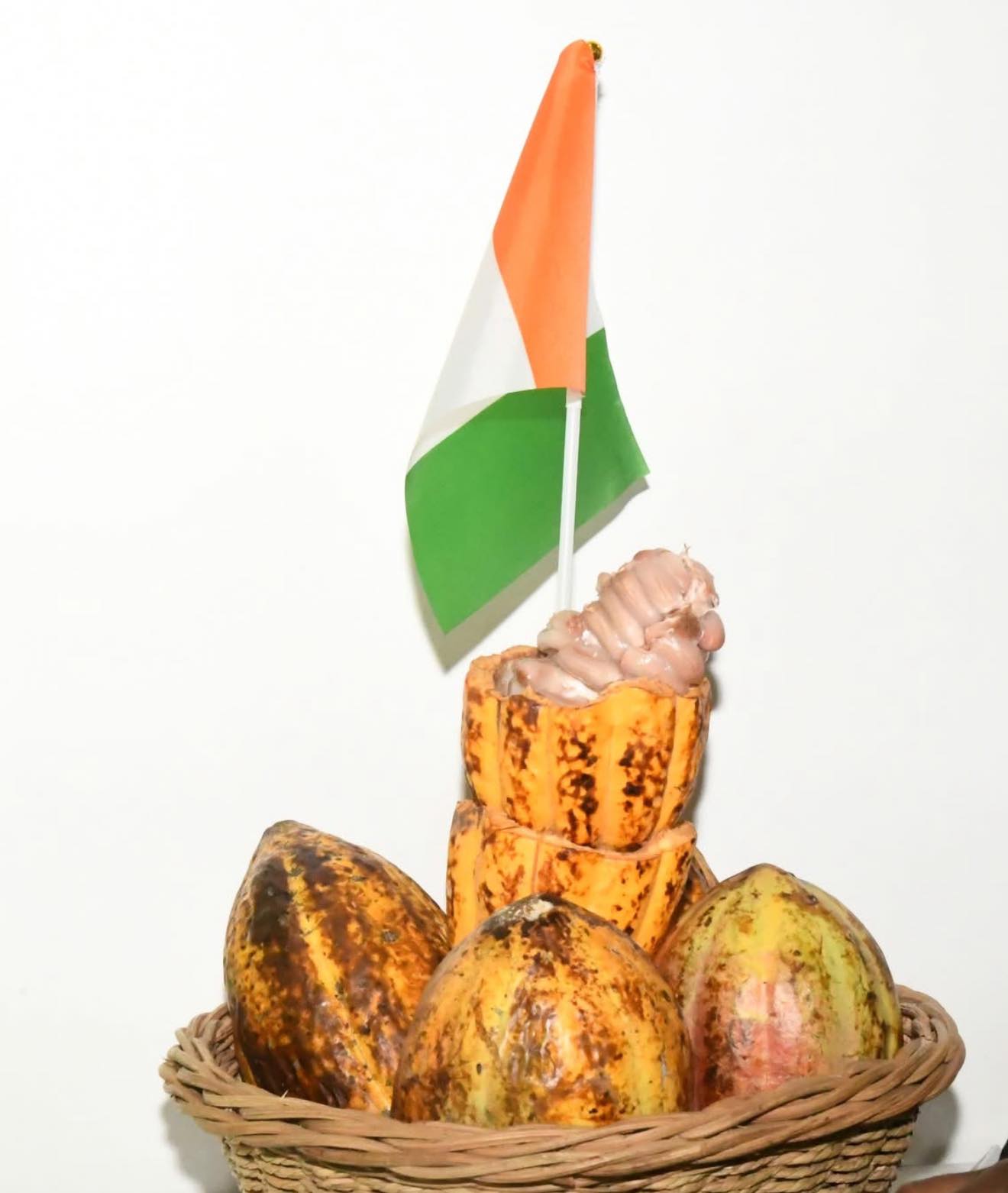 486076665_1182234060244292_3879407708313105382_n