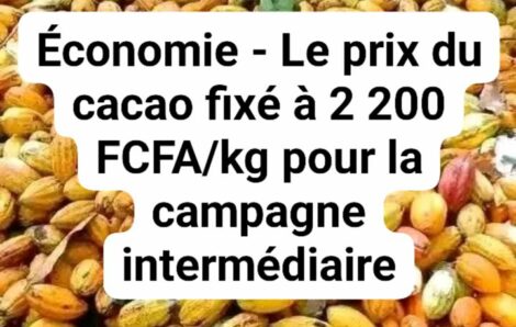 Economie – Côte d’Ivoire : le prix du cacao fixé à 2 200 FCFA/kg pour la campagne intermédiaire.