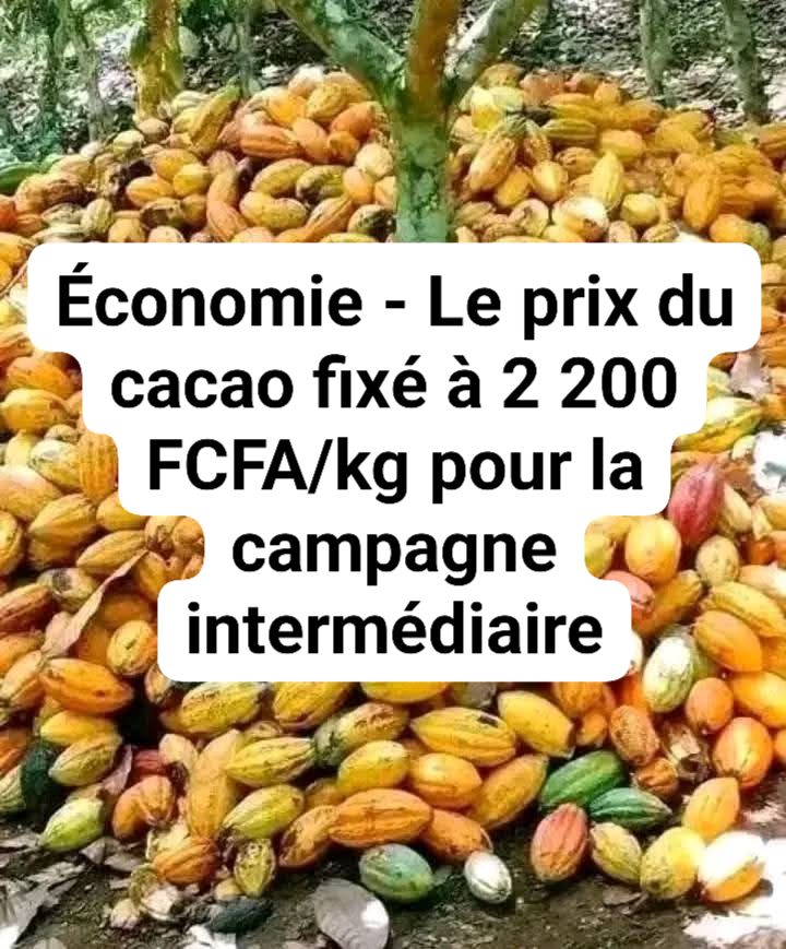 486134610_957508823200071_2184480284454878483_n