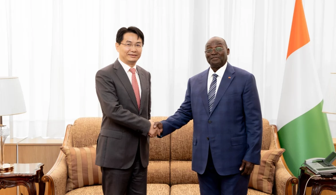 107996-lambassadeur-de-chine-wu-jie-et-le-vice-president-ivoirien-tiemoko-meyliet-kone
