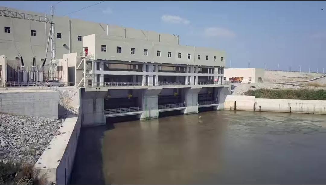 494982162_1382235746497754_1839803164869113693_n